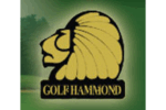 Hammond LoGo