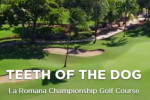 Teeth of the Dog LoGo